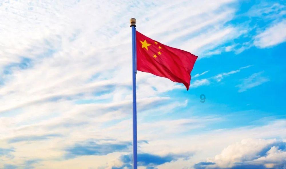 沙皮狗逃离